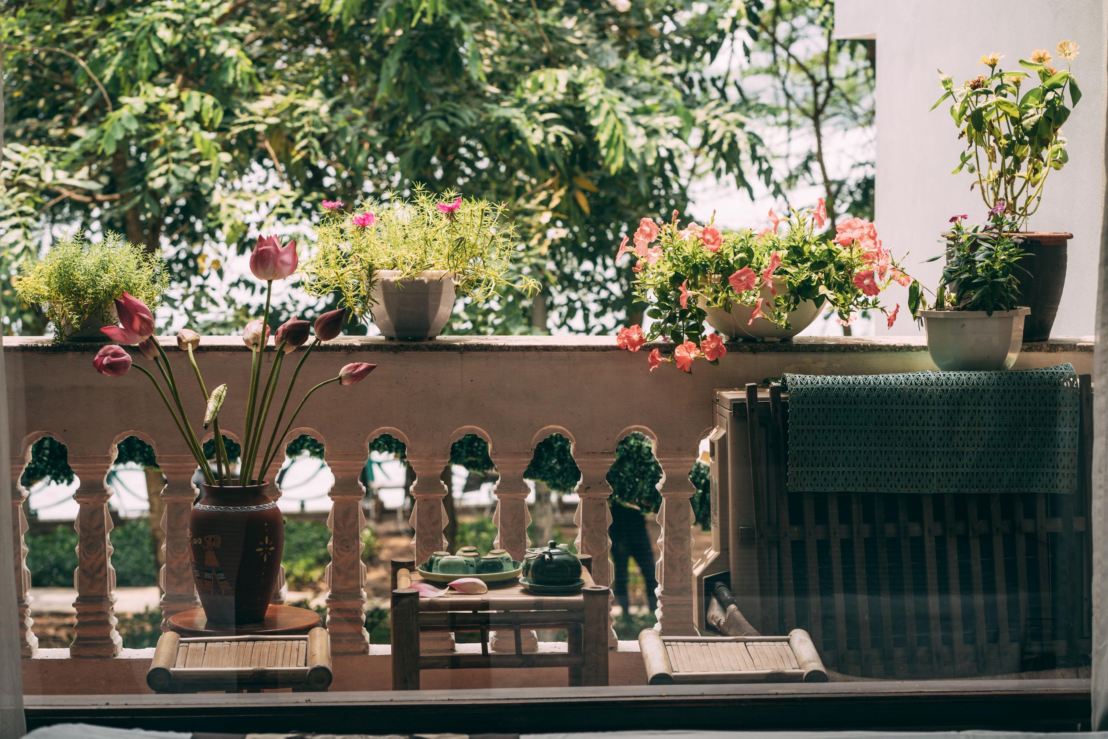 Legenda Tay Ho Hotel - Hanoi — Photos 3